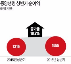 저금리에도 호실적 낸 보험사들…동양생명 상반기 순익 '사상 최대'