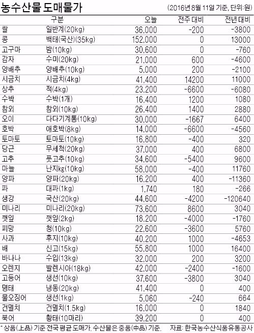 [농수산물 시세] 양배추값, 작년보다 30% 하락