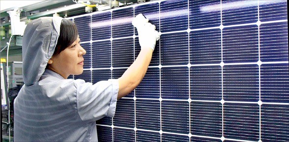 LG전자 구미 태양광 공장 가보니…"최고 효율 태양광 패널, 없어 못판다"
