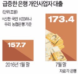 은행 개인사업자 대출 '과속'…부실 뇌관