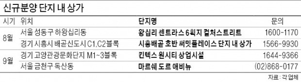 "수익률 갈증 푸세요"…여름에 몰아치는 상가 분양