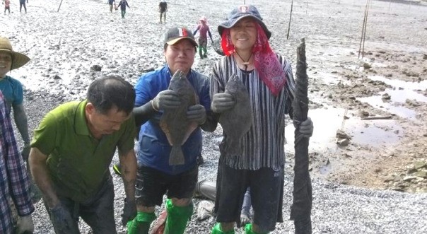 관광객이 지난 20일 전남 장흥군 대덕읍 신리갯벌에서 물고기를 잡고 있다. 전라남도 제공