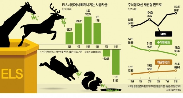 "1~2% 손실도 무서워"…'초식' 재테크족