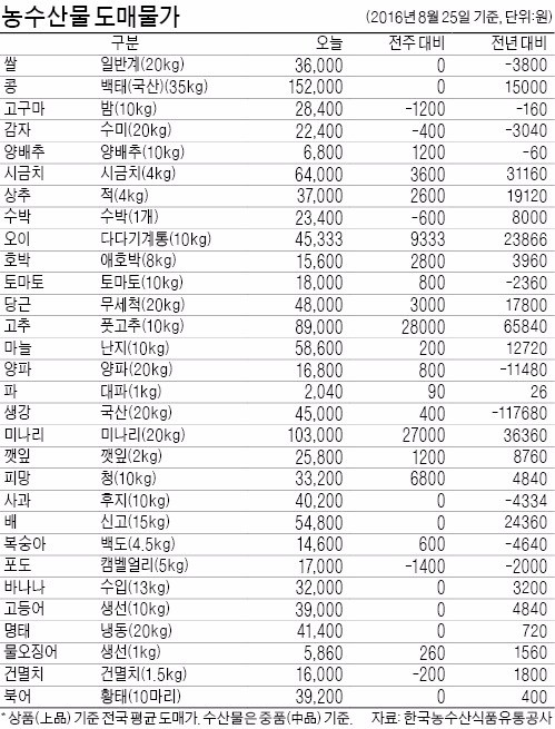 출하량 늘어난 사과, 가격 10%↓