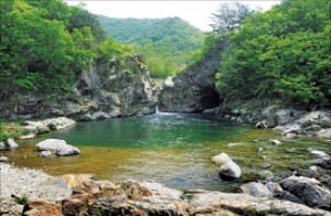 [2016 대한민국 소비자신뢰 대표브랜드 대상] '청춘 양구'…생태·안보·문화관광 '3대 벨트'