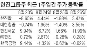 한진해운 법정관리행…한진그룹주 '출렁'