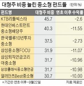 중소형주 펀드 '스타일'만 구겼네