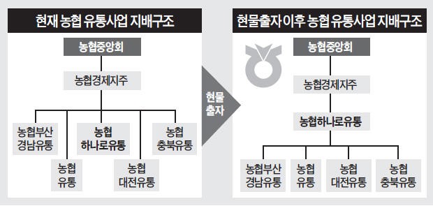 [마켓인사이트] 농협, 사업구조 개편 '급물살'