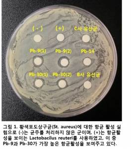 네오리젠바이오텍-코메드생명과학 "천연 항균활성 종균 확보"