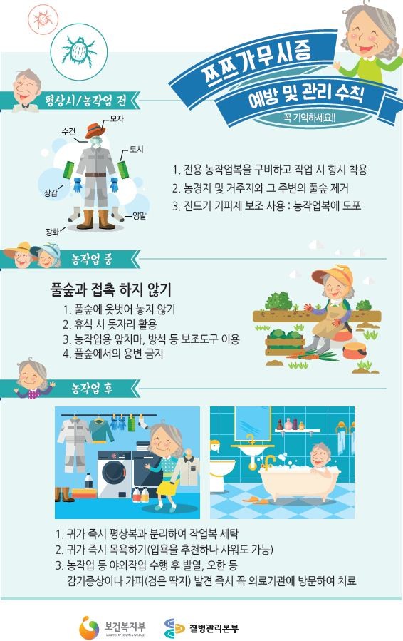 성묘철 '쓰쓰가무시' 경보…털진드기 피하려면?