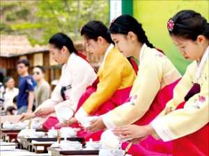 [제14회 올해의 브랜드 대상] 보성다향대축제, 녹차향 가득한 보성서 열리는 최대규모 '차 축제'