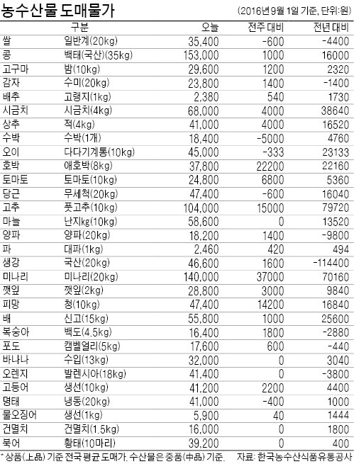 [농수산물 시세] 당근값, 한 달 만에 40% 껑충