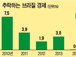  포퓰리즘으로 망가진 '브라질 경제'…친기업 정책으로 되살릴 수 있을까?