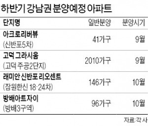 중도금 대출 사라지는 강남 분양아파트