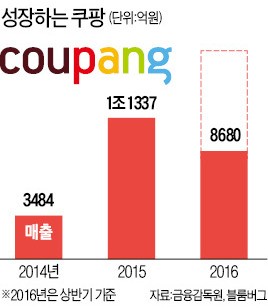 쿠팡 '로켓 성장'…상반기 매출 8000억 돌파