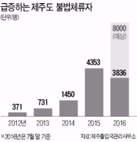 제주 '무비자의 역습'…불법체류자 5년새 30배↑, 1천명당 7명 꼴