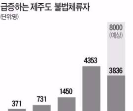 제주 '무비자의 역습'…불법체류자 5년새 30배↑, 1천명당 7명 꼴