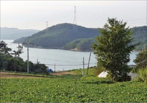 충남 서산시 바다 조망 전원지 