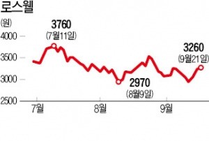 로스웰 "순이익 16% 현금 배당"