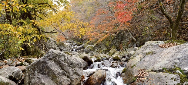 지리산을 물들인 단풍. 남원시청 제공 