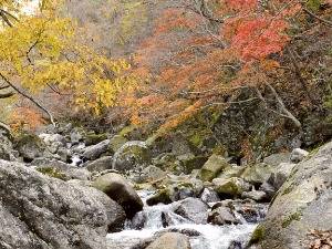  지리산·뱀사골·와운마을…남원, 가을이 깊어진다