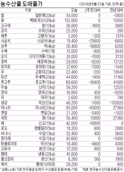 [농수산물 시세] 태풍에 껑충 뛴 '가을 전어'