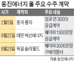 체질 바꾼 웅진에너지 잇단 해외수주…'태양광 빛나네'