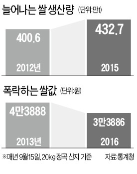 농협, 사상 최대 쌀 매입…올해 180만t 사들인다