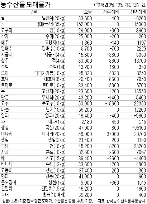 [농수산물 시세] 고랭지배추, 작년보다 1.8배 올라