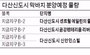 단 4곳 남은 남양주 다산신도시 '막바지 분양'