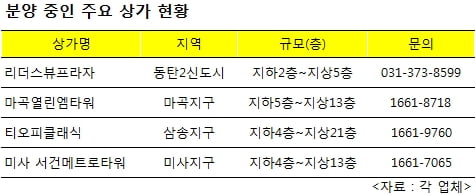 신도시 ‘수익형 상가’ 공급 풍성 … 알짜 노려볼까