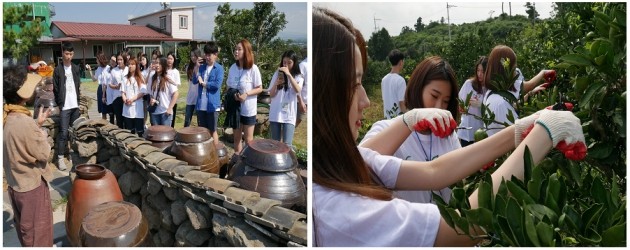 '청년 유기농라이프 체험단' 친환경농업의 새로운 가치를 품고