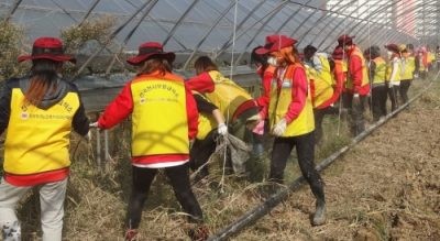 전국자원봉사연맹, 울산 태풍 ‘차바’ 피해지역 도움의 손길 전해