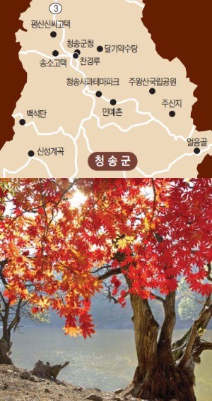 [대한민국 도시 이야기-청송] "공무원 보내 이웃도시 벤치마킹"…'슬로시티' 청송의 발빠른 행정