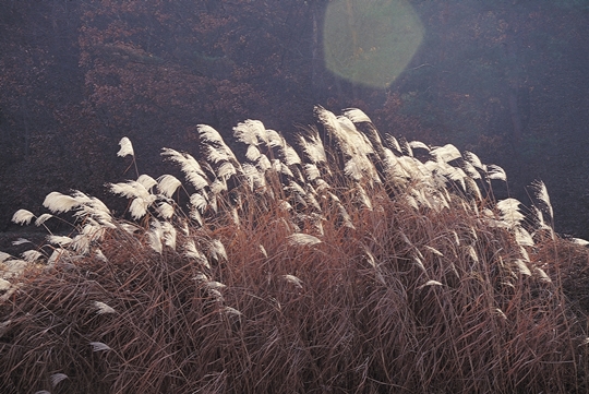 찬바람 불며 쌀쌀 (사진=DB)