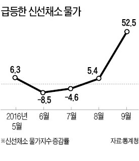 배추 198%, 무 106%↑…폭염에 채소 가격 급등