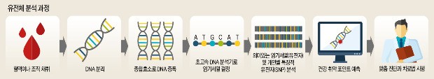 '가장 완벽한' 한국인 유전체 지도 완성…맞춤형 치료 획기적 전기