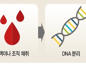 '가장 완벽한' 한국인 유전체 지도 완성…맞춤형 치료 획기적 전기