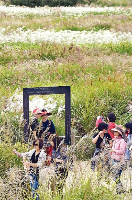 하늘공원 억새축제