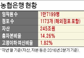 [도약하는 금융사] 농협은행, 모바일 '올원 뱅크' 두달만에 20만명 가입