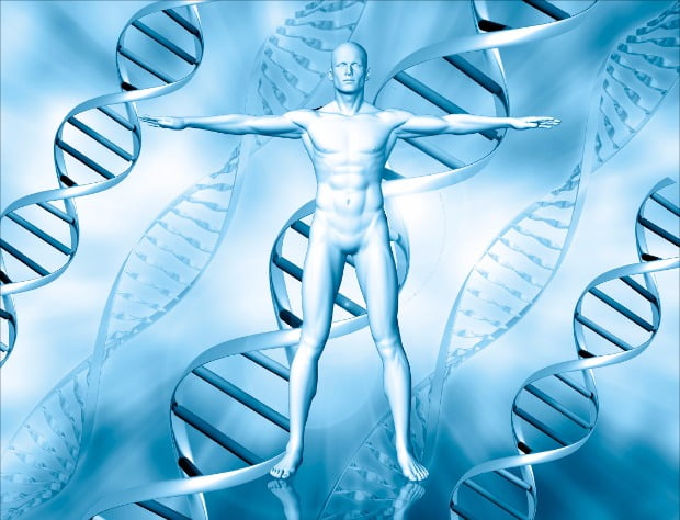 [Cover Story] 게놈지도, 인간 유전자 비밀 풀까