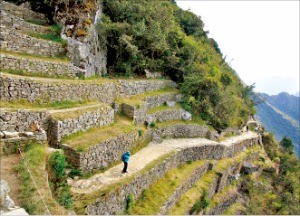 [여행의 향기] '무너진 잉카' 마추픽추를 보며 체 게바라는 무엇을 꿈꿨을까…