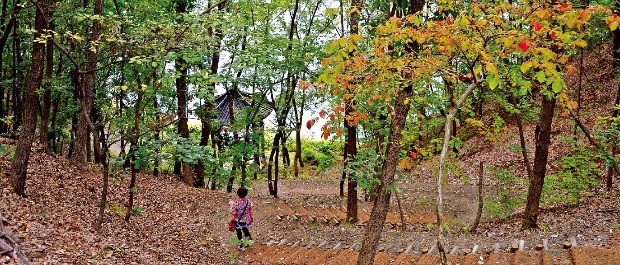 충주호와 심항산을 휘도는 오솔길인 종댕이길. 