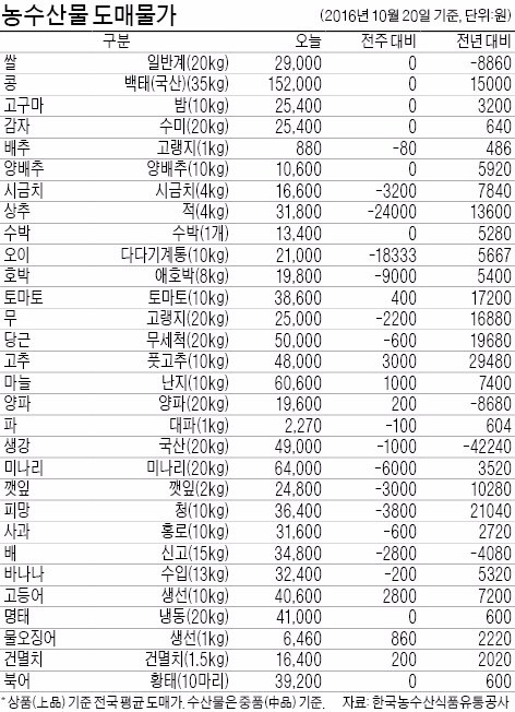 [농수산물 시세] 10월 인기 과일, 포도 대신 감귤