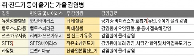 등산·캠핑 다녀온 후 열나고 온몸이 욱신욱신…혹시 가을 감염병?