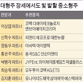 조정폭 컸던 코스닥 '매력'…반도체·전기차·신재생에너지 눈길