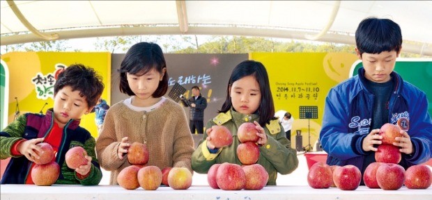 지난해 열린 청송사과축제 모습. 청송군 제공 