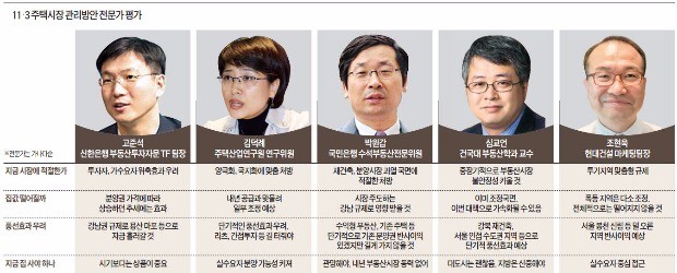 11·3 부동산 대책 전문가들 시장 전망