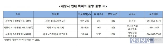 '11·3 규제' 받는 세종시, 연말까지 3500가구 분양