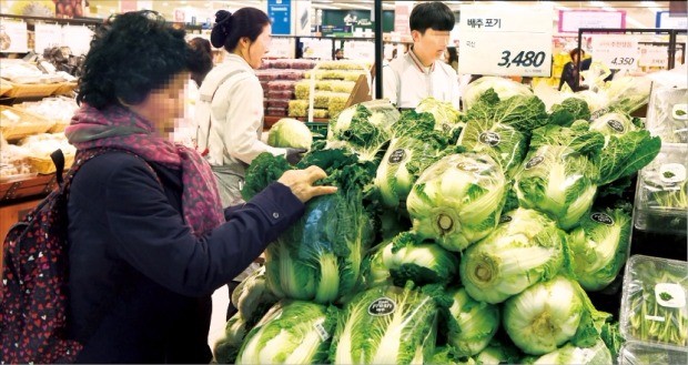 장바구니 물가가 들썩이고 있다. 채소·과일·생선 등 신선식품 가격 오름세가 특히 가파르다. 올여름 폭염 등의 영향으로 지난달 배추가격은 전년 동월 대비 143.6% 급등했다. 허문찬 기자 sweat@hankyung.com